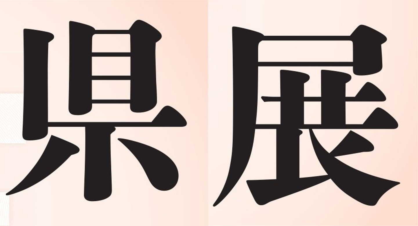 菅井松雲会長、新潟県展で「奨励賞」を受賞！🎉